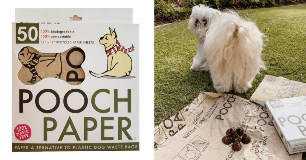 Pooch Paper Net Worth