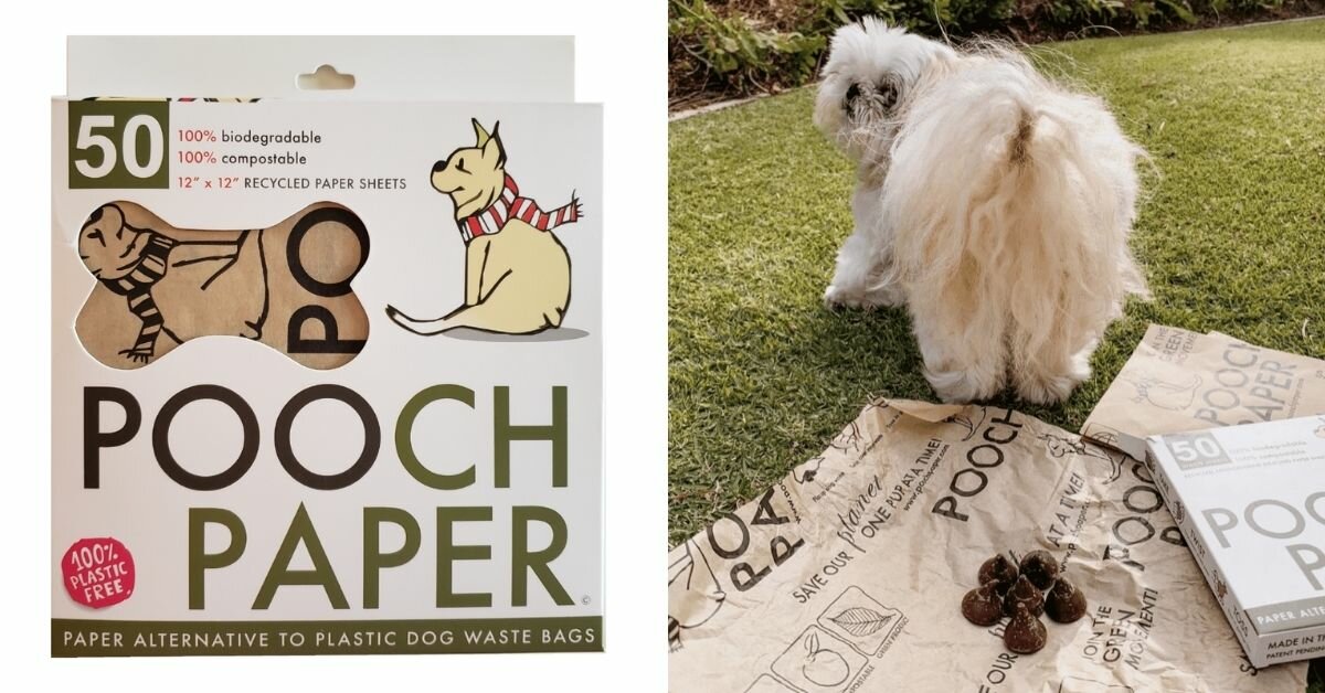 Pooch Paper Net Worth